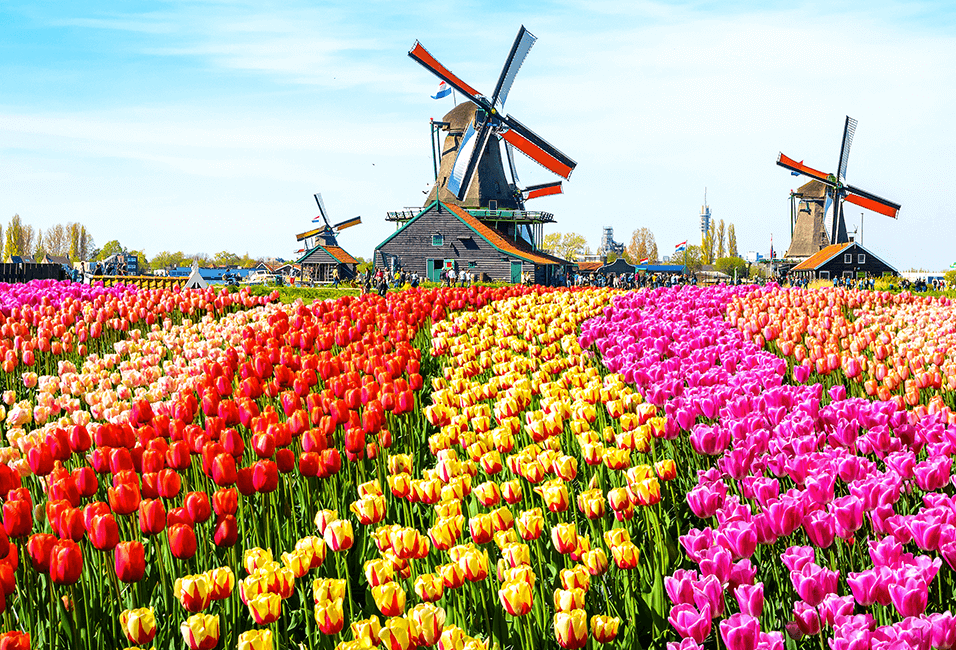 荷蘭 <span>Netherlands</span>