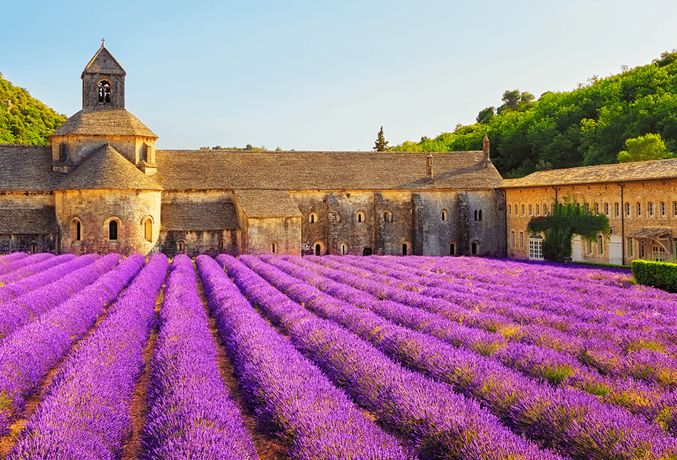 南法 <span>S.France</span>
