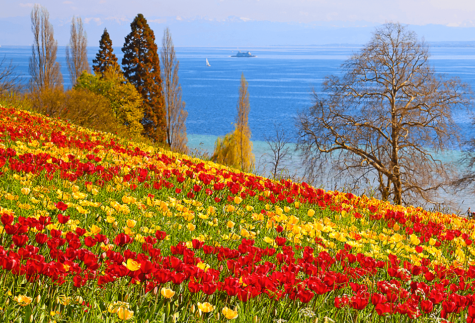 德國 <span>Germany</span>