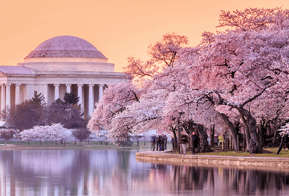 美國 <span>United States</span>