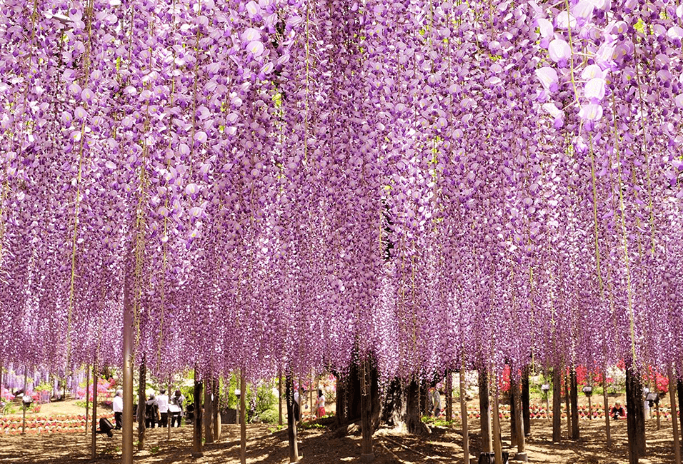 東京 <span>Tokyo</span>