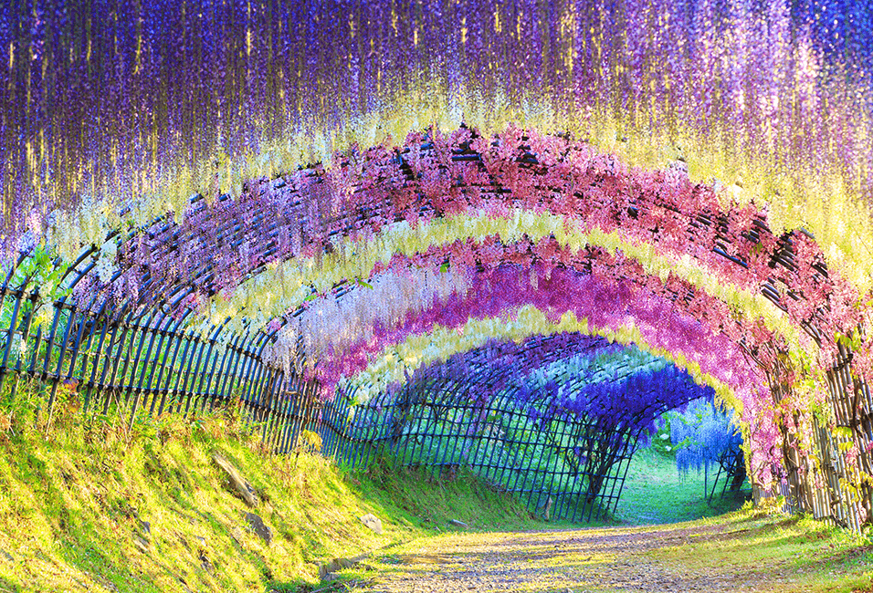 九州 <span>Kyushu</span>