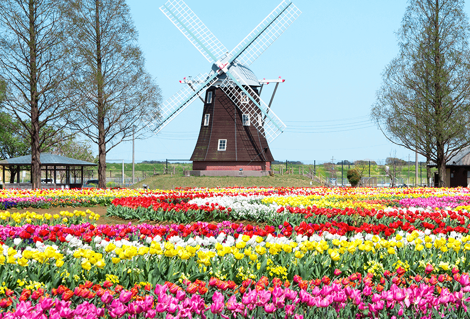 九州 <span>Kyushu</span>