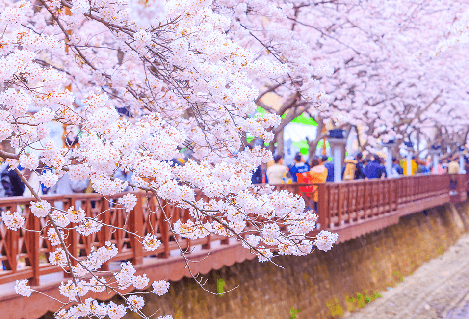 釜山 <span>Busan</span>
